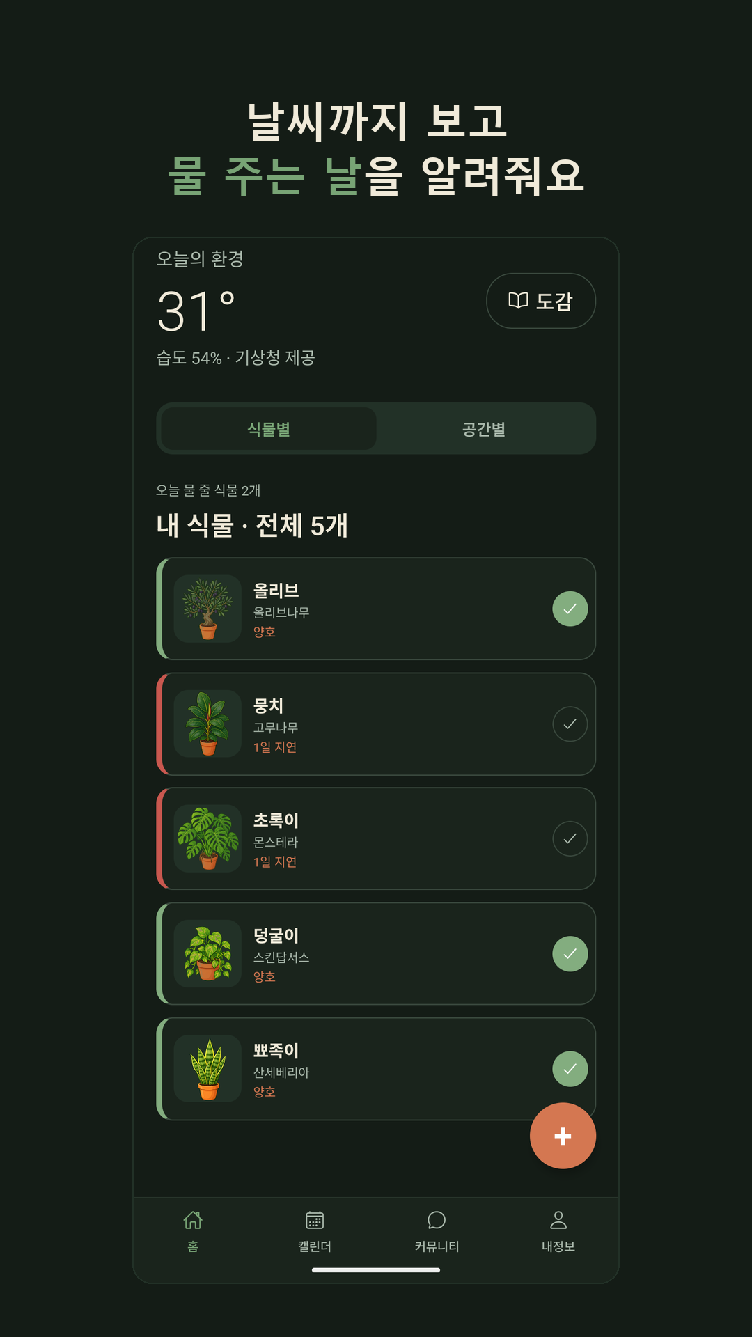 식물도사 홈 화면 — 오늘의 환경과 오늘 물 줄 식물 목록